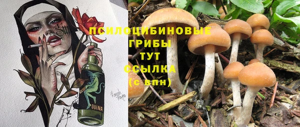 мдма Пролетарск