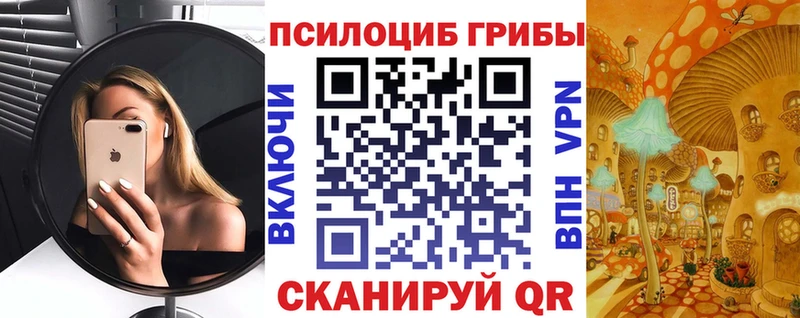 Галлюциногенные грибы Psilocybe  купить наркоту  Пыталово 